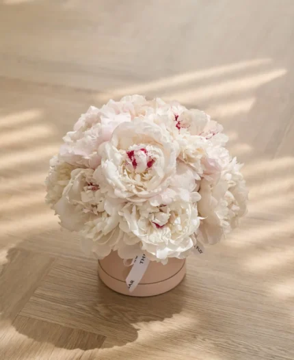 Peony Box 10 White