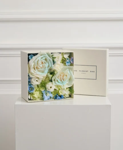 White&Blue Box (s)